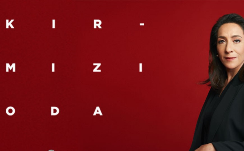  Cast Ajans Başvuru Formu